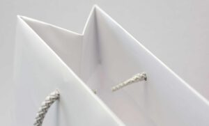 Luxury Paper Bag Plastic tip cords