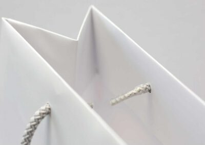 Luxury Paper Bag Plastic tip cords