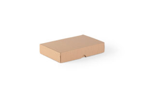 Shipping box