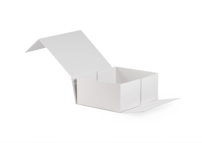 Collapsible Boxes