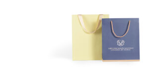 Luxury Paper Bag with Rope and Ribbon Handles