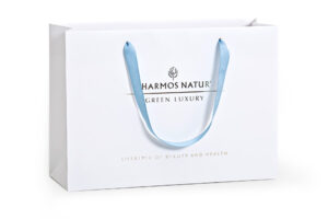 a white bag with blue ribbon handles